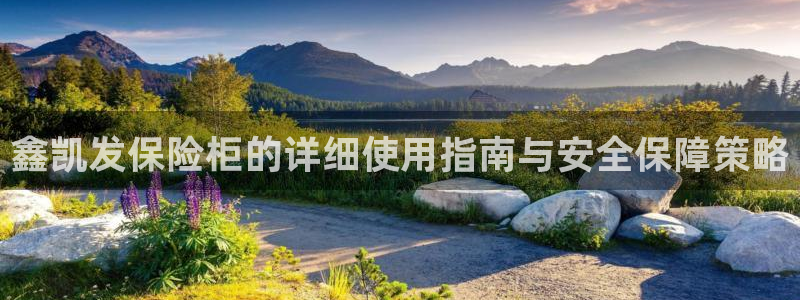 壹号娱乐3平台登录注册：鑫凯发保险柜的详细使用指南与安全保障策略