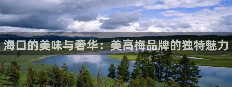 壹号娱乐5：海口的美味与奢华：美高梅品牌的独特魅力