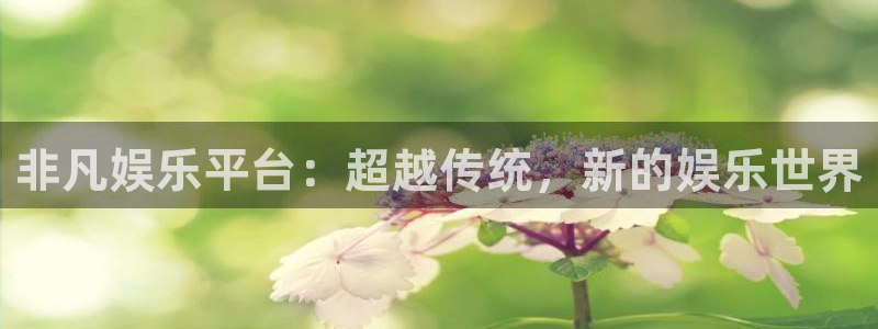 壹号娱乐电子有限公司：非凡娱乐平台：超越传统，新的娱乐世界