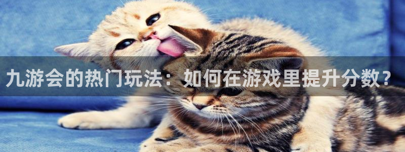 佛山市南海壹号娱乐机电仪器有限公司：九游会的热门玩法：如何在游戏里提升分数？