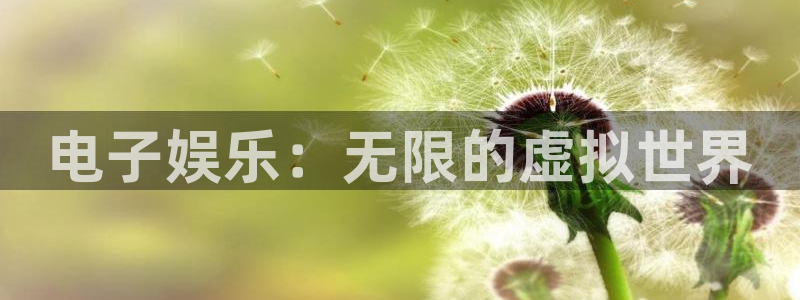 壹号娱乐f平台注册：电子娱乐：无限的虚拟世界