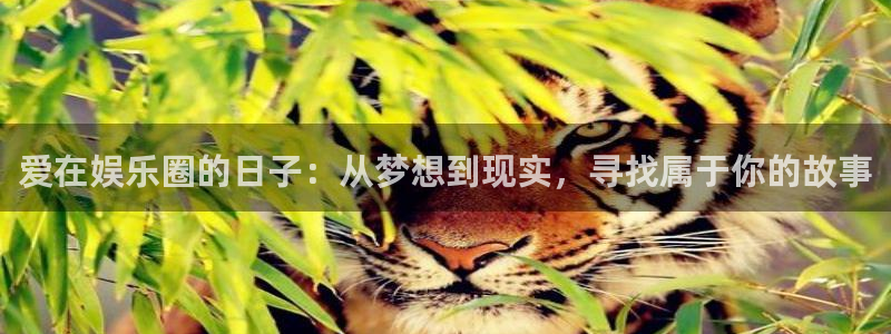 壹号娱乐体育eon：爱在娱乐圈的日子：从梦想到现实，寻找属于你的故事