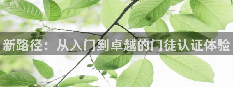 壹号娱乐体育论坛