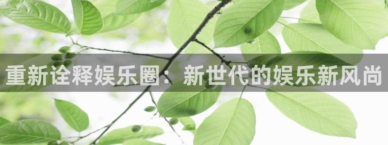 壹号娱乐平台：重新诠释娱乐圈：新世代的娱乐新风尚