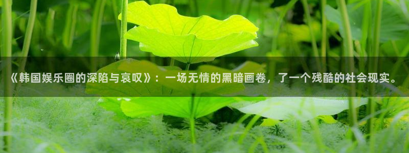 壹号娱乐集团官网：《韩国娱乐圈的深陷与哀叹》：一场无情的黑暗画卷，了一个残酷的社会现实。