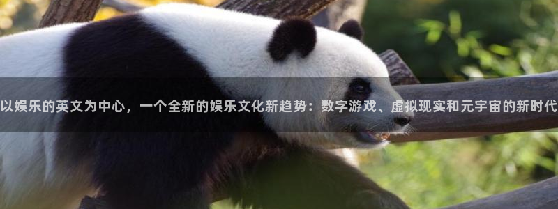 壹号娱乐平台注册：以娱乐的英文为中心，一个全新的娱乐文化新趋势：数字游戏、虚拟现实和元宇宙的新时代