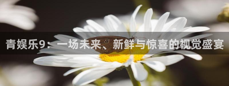 www.壹号娱乐体育.com：青娱乐9：一场未来、新鲜与惊喜的视觉盛宴