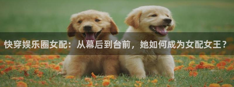 佛山市南海壹号娱乐机电仪器有限公司：快穿娱乐圈女配：从幕后到台前，她如何成为女配女王？