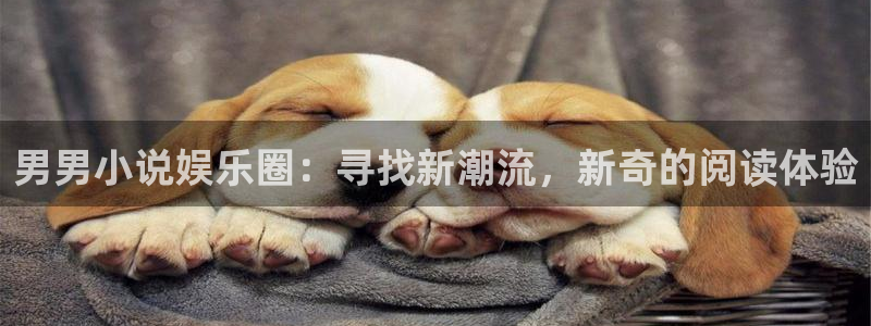壹号娱乐包怎么样：男男小说娱乐圈：寻找新潮流，新奇的阅读体验