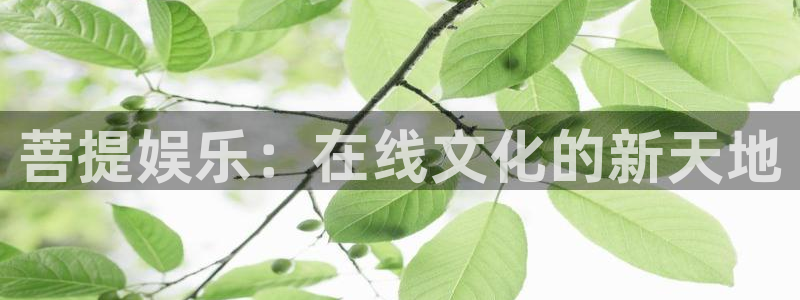 壹号娱乐k：菩提娱乐：在线文化的新天地
