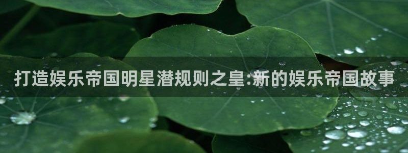 壹号娱乐5注册：打造娱乐帝国明星潜规则之皇:新的娱乐帝国故事