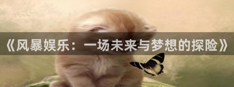 壹号娱乐体育免费注册入口：《风暴娱乐：一场未来与梦想的探险》