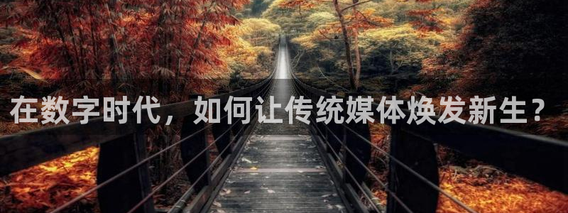 壹号娱乐2平台登录：在数字时代，如何让传统媒体焕发新生？