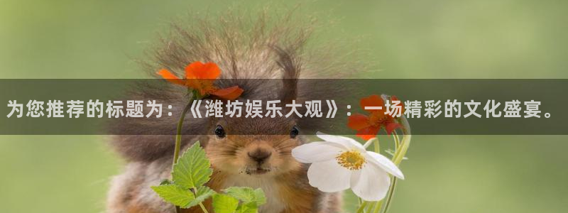 壹号娱乐凯捷注册：为您推荐的标题为：《潍坊娱乐大观》：一场精彩的文化盛宴。