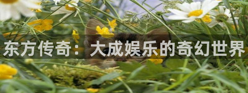 壹号娱乐平台招商：东方传奇：大成娱乐的奇幻世界