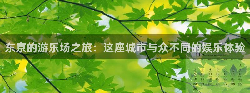 壹号娱乐平台在线注册：东京的游乐场之旅：这座城市与众不同的娱乐体验