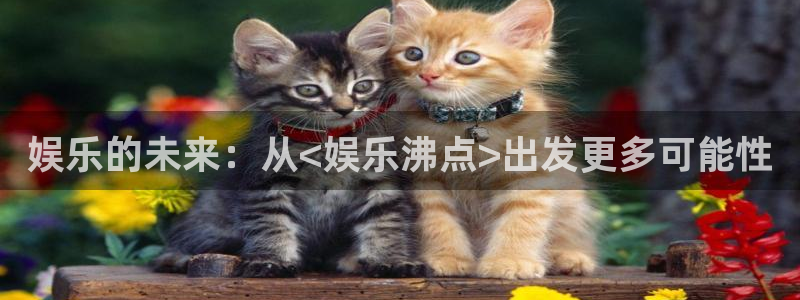 www.壹号娱乐体育.com：娱乐的未来：从<娱乐沸点>出发更多可能性