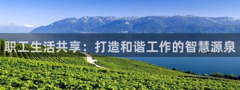 壹号娱乐包怎么样