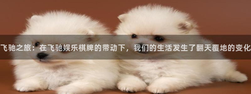 壹号娱乐体育代理