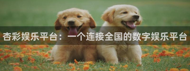 壹号娱乐体育凯捷平台主管：杏彩娱乐平台：一个连接全国的数字娱乐平台
