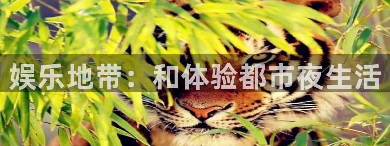 壹号娱乐3登陆：娱乐地带：和体验都市夜生活