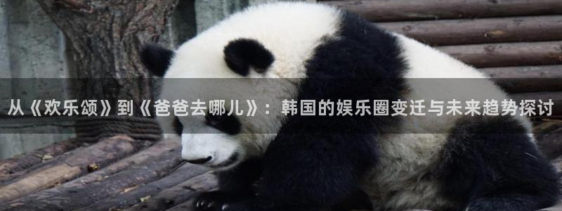 壹号娱乐体育老板是谁：从《欢乐颂》到《爸爸去哪儿》：韩国的娱乐圈变迁与未来趋势探讨