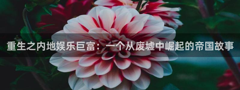 壹号娱乐体育热门赛事有哪些：重生之内地娱乐巨富：一个从废墟中崛起的帝国故事
